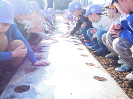 �卪�̎�܂��P