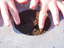 �卪�̎�܂��Q